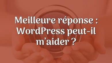 Meilleure réponse : WordPress peut-il m’aider ?